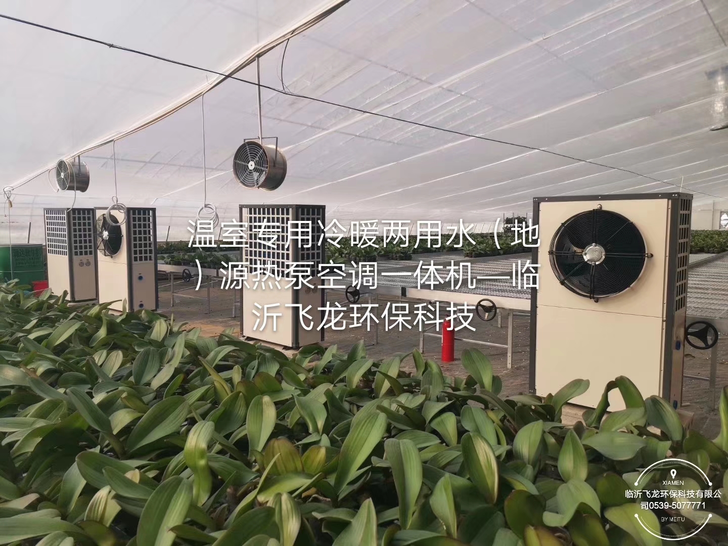 飛龍溫控帶你提前了解夏季蔬菜和花卉溫室大棚降溫的10種方法